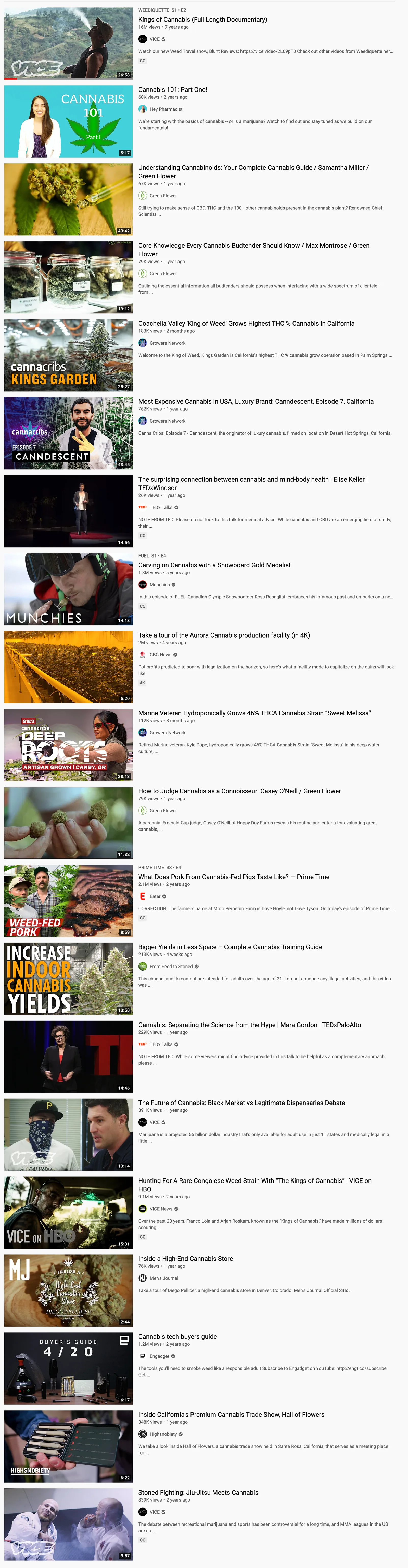 YouTube search results showing a long list of cannabis videos